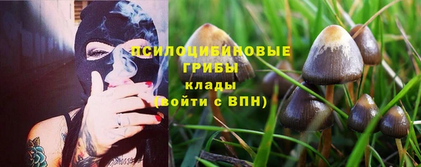 шишки Алексин