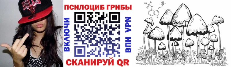 Галлюциногенные грибы прущие грибы  Карабулак 