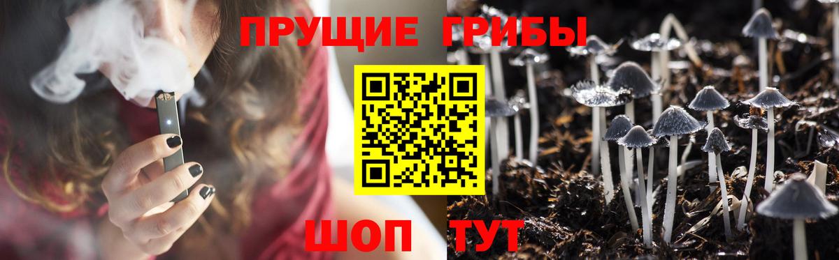 Псилоцибиновые грибы прущие грибы Карабулак